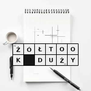 Hasło krzyżówkowe metriopelia melanoptera gatunek ptaka z rodziny gołębiowatych columbidae - żółtook duży – rozwiązanie, synonimy, podpowiedzi i definicje krzyżówkowe